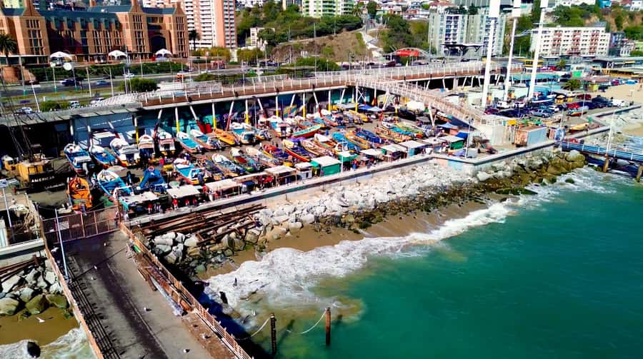Santiago: Viña del Mar, Valparaiso, with Wine Tasting - Cerro Concepción and Lunch Time: Where You Control the Pace