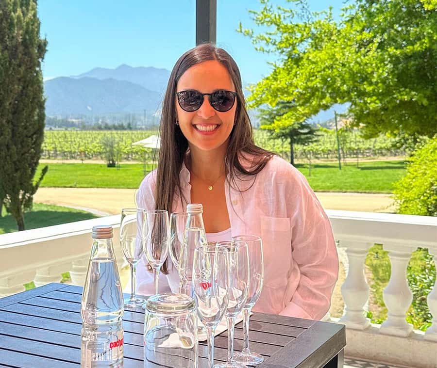Santiago: World-class Wines, Visit to 4 Vineyards and Tanino - Key things to know before you go