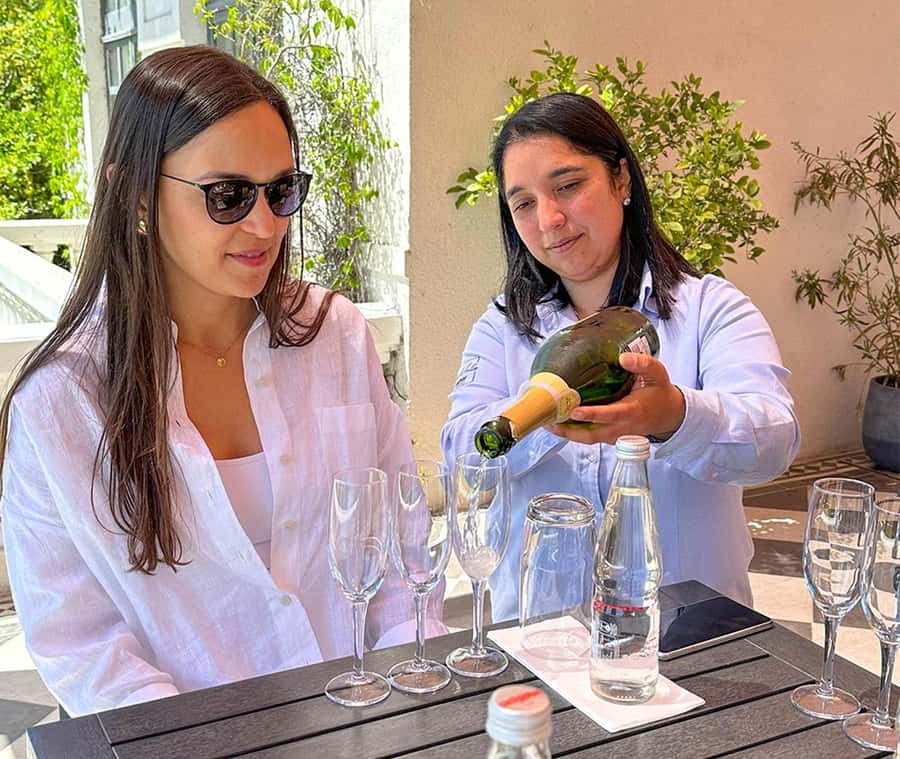 Santiago: World-class Wines, Visit to 4 Vineyards and Tanino - Guides and the multilingual experience (what to look for)