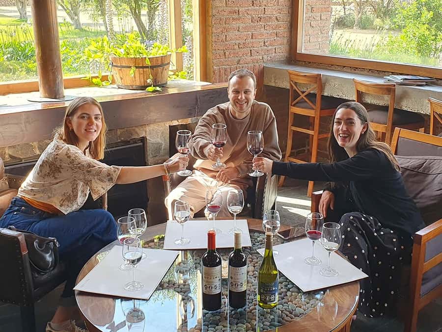 Santiago: World-class Wines, Visit to 4 Vineyards and Tanino - Emiliana Organic Vineyards: biodynamic ideas you can actually picture
