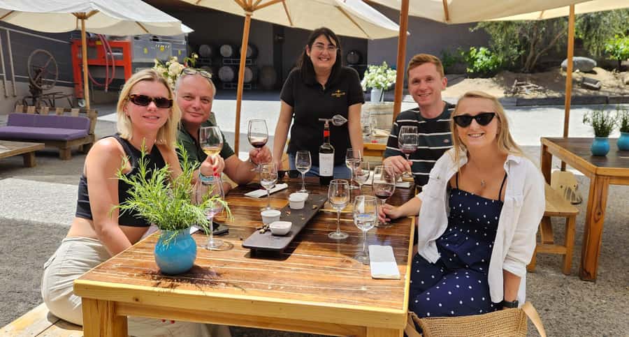 Santiago: World-class Wines, Visit to 4 Vineyards and Tanino - Timing, pace, and why small groups matter