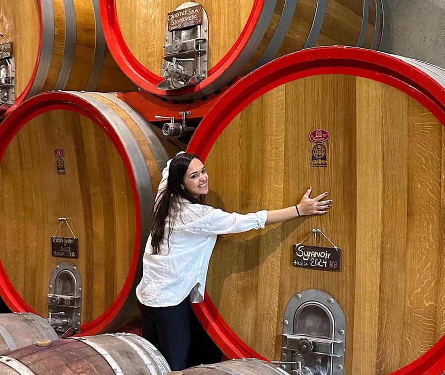 Santiago: World-class Wines, Visit to 4 Vineyards and Tanino - Pickup from central Santiago to the Curacaví and Casablanca route