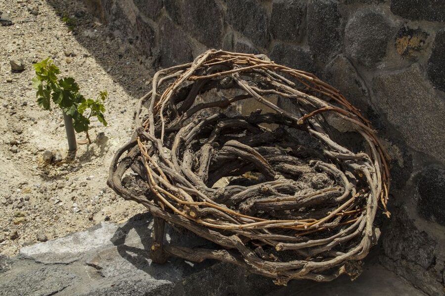 Santorini: Three Wineries and One Brewery Tour with Tastings - The cellar-door finish at Anhydrous (or a swap based on availability)