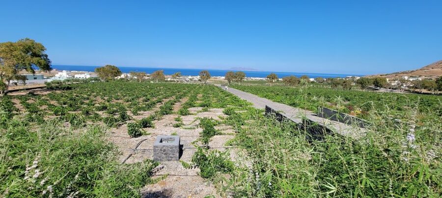 Santorini: Three Wineries and One Brewery Tour with Tastings - Art Space Winery in Exo Gonia: art, underground cellars, and a slow tasting pace
