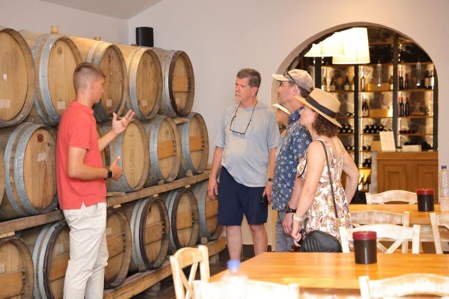 Santorini: Tour of Wineries with Wine Tasting & Food - The Wines You’ll Taste: Assyrtiko, Nykteri, Vinsanto, and More