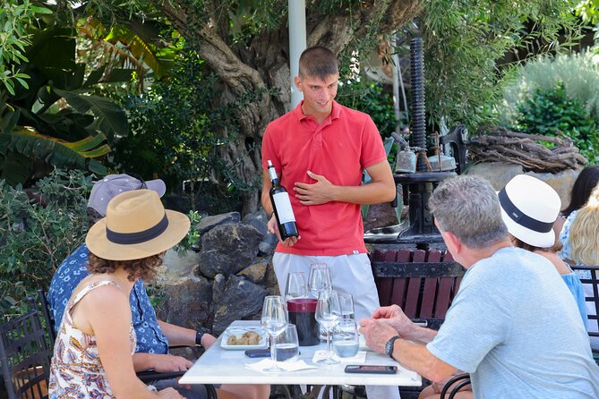 Santorini Wine Stories: Daytime Tour with Tasting & Lunch - Volcanic wine in Santorini: what makes this tour feel different