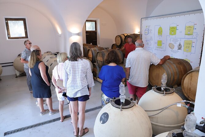 Santorini Wine Stories: Sunset Tour with Tasting & Dinner - Practical tips before you go
