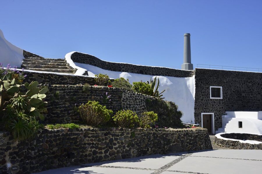 Santorini: Wine Tasting Tour to 3 Wineries with Transfer - What you learn: Santorini winemaking, from tradition to modern production
