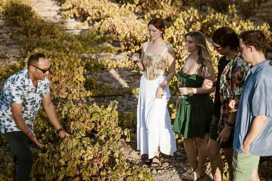 Santorini: Wine Tasting Tour with Snacks - Santorini Wine Tasting in 4 Hours: How the Tour Really Feels
