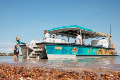 SCENIC AND PREHISTORIC CRUISE - Sparkling Wine & Gourmet Platters - Wildlife watching: turtles, sharks, sea birds, dolphins, and more