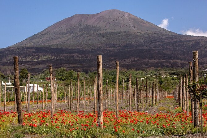 Scenic Wine Tasting & Lunch on the Slopes of Vesuvius from Naples - Views, Crowd Level, and the Naples Escape Factor