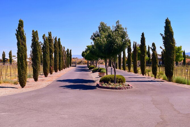 Scenic Wine Tasting Tour from Las Vegas with Food - What to expect from the timing (and how to plan your day around it)