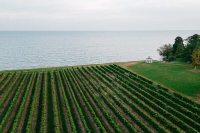 Seated Tasting Experience at Konzelmann Winery - A seated tasting that actually stays civil (and on time)
