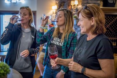 Seattle Wine & Snoqualmie Falls Highlights Tour - Getting picked up and riding the bridge route