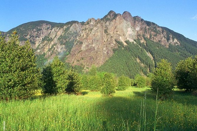 Seattle Wine & Snoqualmie Falls Highlights Tour - Should you book this Seattle Wine & Snoqualmie Falls highlights tour?