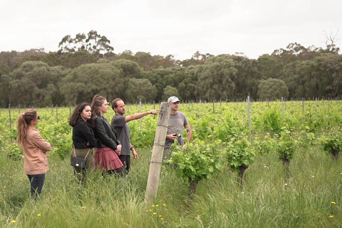 Secret Delights: Curated Wine, Coffee & Forest Experience - Stop 1: Yahava KoffeeWorks and the roasting-house coffee lesson