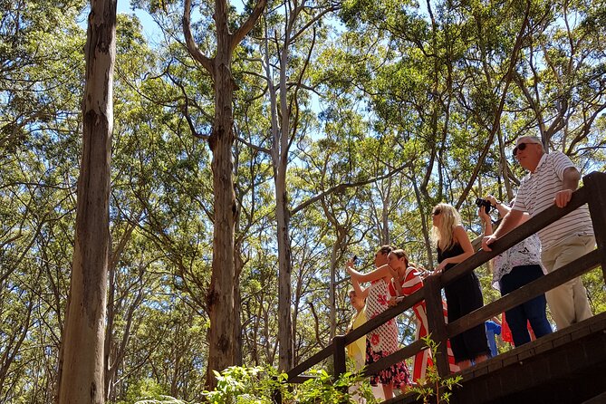 Secret Delights: Curated Wine, Coffee & Forest Experience - Stop 2: Brown Hill Estate family-run wine tastings