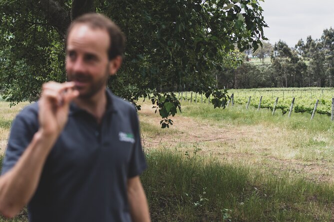 Secret Delights: Curated Wine, Coffee & Forest Experience - Stop 5: Redgate Wines for variety and a vineyard-facing story