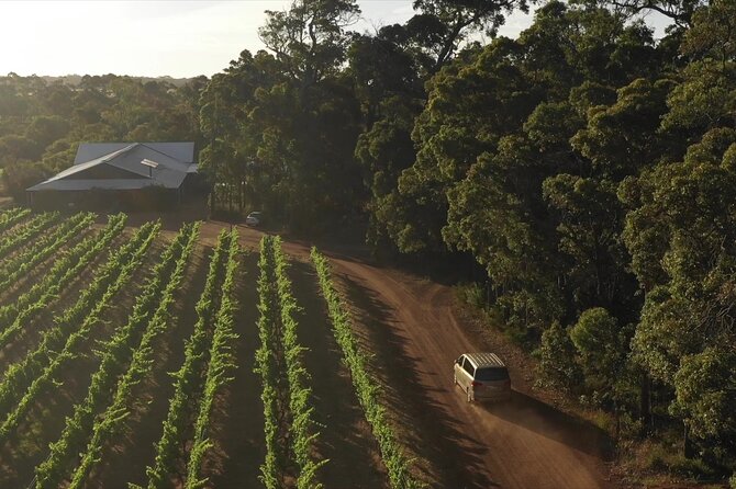 Secret Delights: Curated Wine, Coffee & Forest Experience - Guides set the tone: Ziggy, Dani, and Jan-style hosting