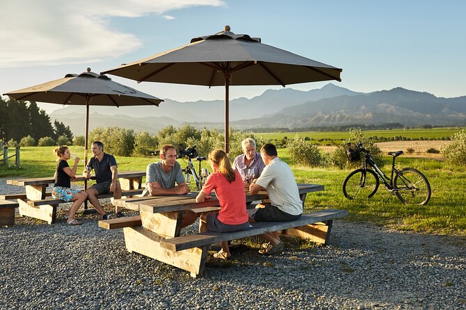 Self-Guided Biking Wine Tour (full day) in the Marlborough Region. - Backup plan built in: help if the bike has an issue