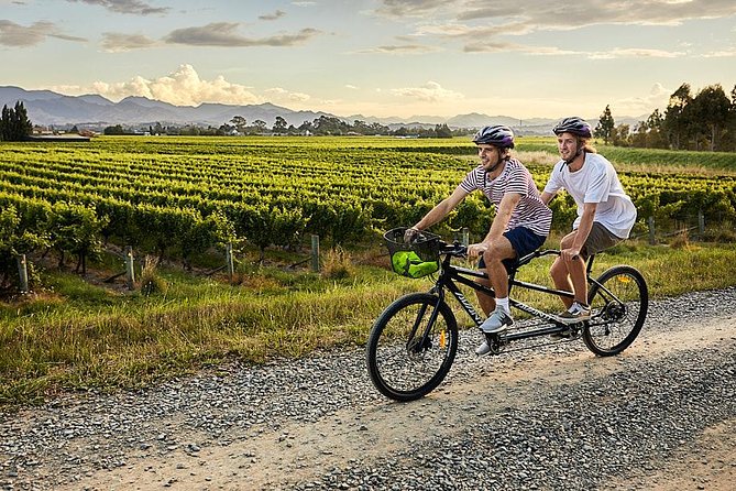 Self-Guided Biking Wine Tour (full day) in the Marlborough Region. - What to watch out for: closed wineries, busy days, and e-bike pricing