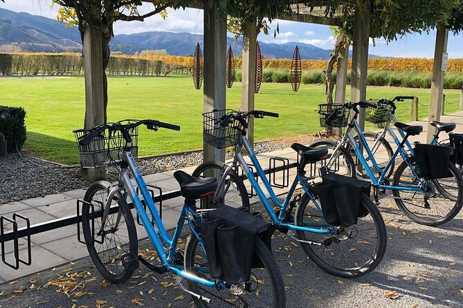 Self-Guided Wine Tours by Bike with Lorelle & Greg - Bottles, clutter, and the quiet convenience of collecting wine