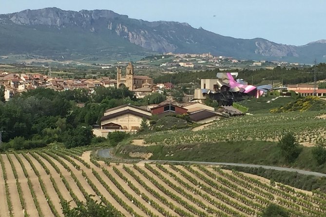 Semi-Private Rioja Tour of 3 Premium Wineries from Bilbao - Frank Gehry’s Hotel Marques de Riscal: a short stop with strong photo payoff