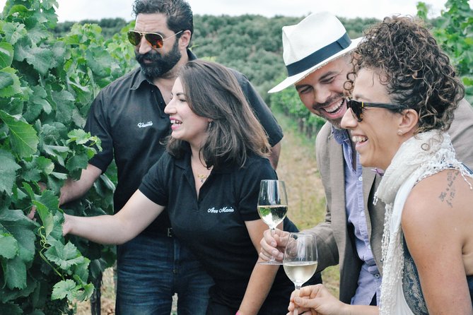 Semi-Private Wine Discovery Tour in Chania - Highlights at a glance