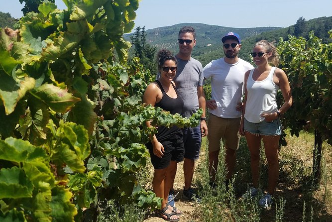 Semi-Private Wine Discovery Tour in Chania - Meet at Platia Markopoulou: the easiest way to start