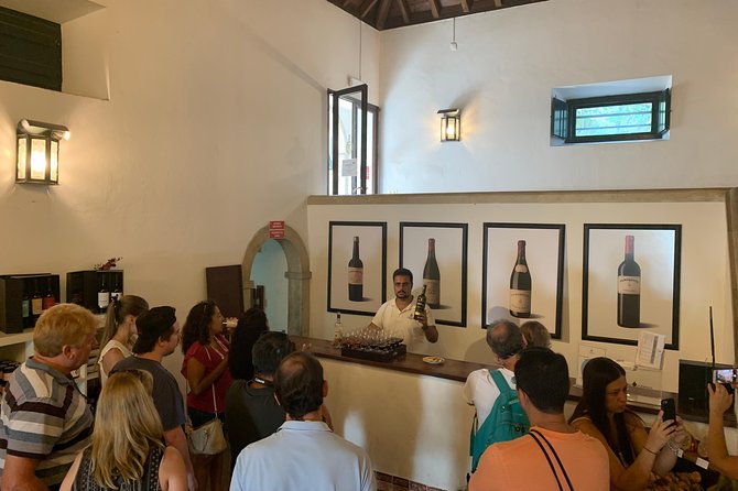 Setúbal Wine Tour with Visit and Tasting at 2 Wineries - Adega de Palmela cooperative: where local grapes meet a real community model