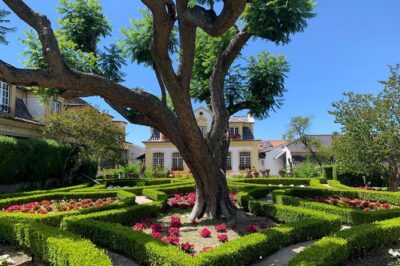Setúbal Wine Tour with Visit and Tasting at 2 Wineries - Bacalhôa in Azeitão: a modern building inside a cellar world