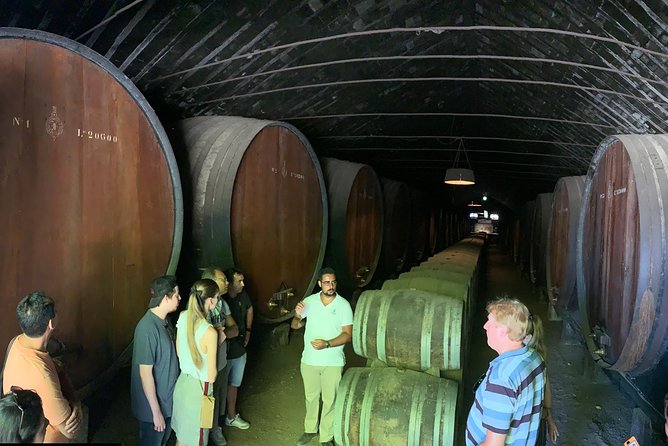 Setúbal Wine Tour with Visit and Tasting at 2 Wineries - The 4-hour flow: how you get up to five wines without rushing yourself