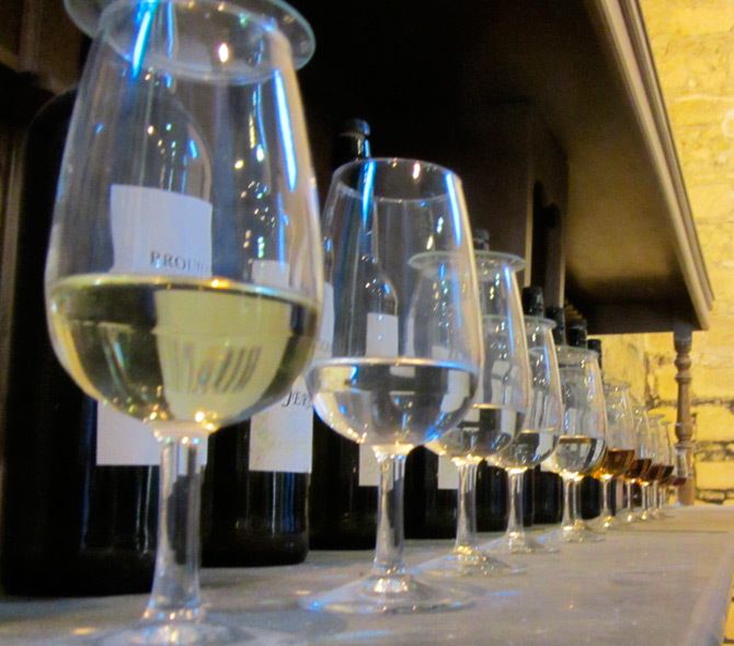 Seville: Jerez, Cadiz Wine Tasting with Optional Horse Show - Key highlights you’ll actually feel