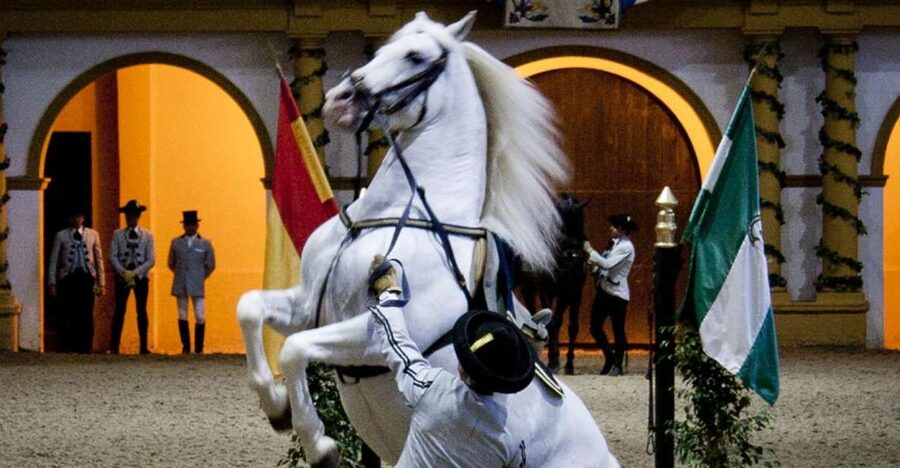 Seville: Jerez, Cadiz Wine Tasting with Optional Horse Show - The Jerez bodega experience: wine craft, not a rushed drive-by