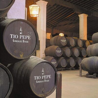 Seville: Jerez, Cadiz Wine Tasting with Optional Horse Show - Morning pickup: where the day begins in Seville