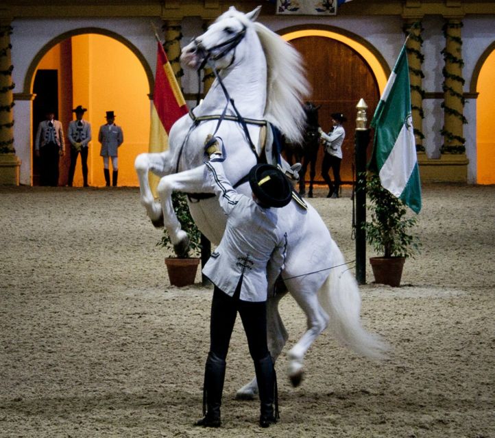 Seville: Jerez, Cadiz Wine Tasting with Optional Horse Show - Costa de la Luz to Cadiz: moving from wine air to sea air