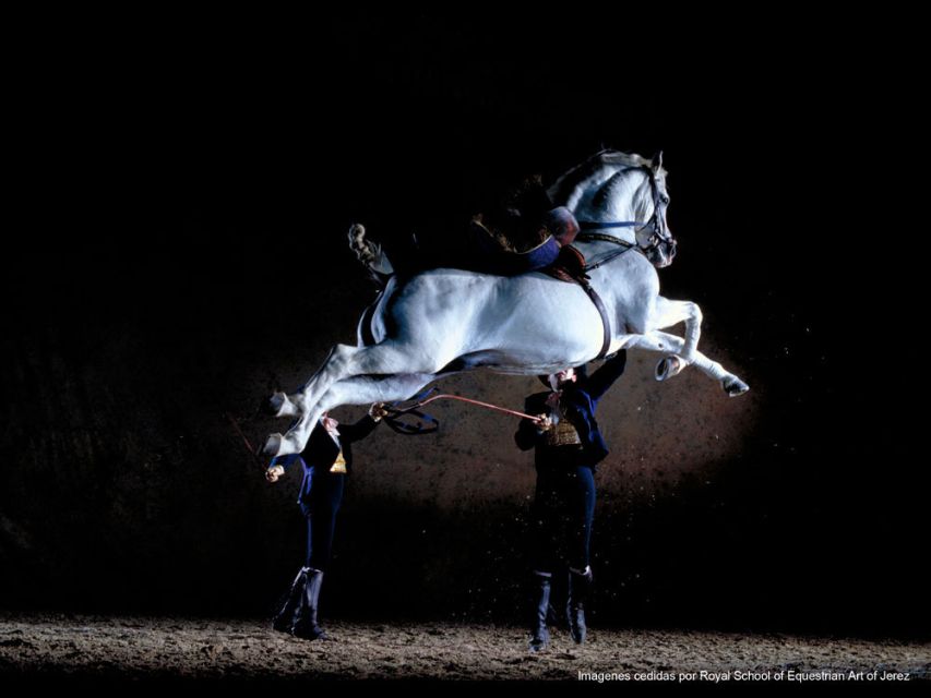 Seville: Jerez, Cadiz Wine Tasting with Optional Horse Show - Cadiz in the guided loop: cathedral area and old-town walks