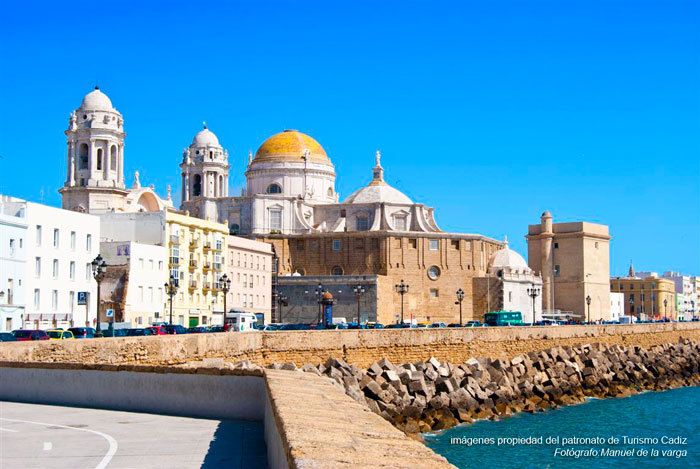 Seville: Jerez, Cadiz Wine Tasting with Optional Horse Show - The lunch-and-wander window: how to use your 3 hours best