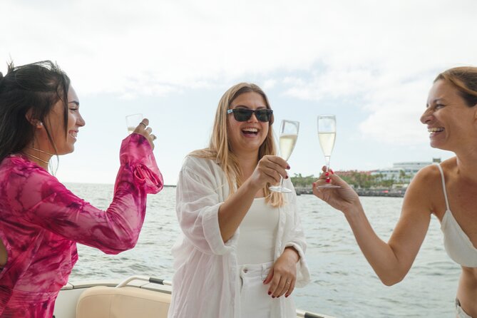 Shared Luxury Yacht Cruise with Champagne and Tapas - What you might spot: dolphins, turtles, and other sea surprises