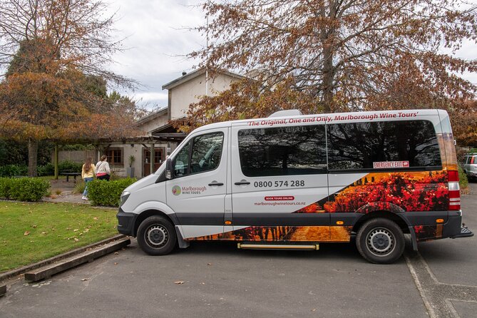 Shore Excursion Marlborough Wine Region Tour from Picton - Small van, i-SITE pickup, and how the timing stays sane