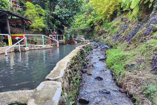 Shoreside Fun-Day with Titou Gorge, Hot Springs & Champagne Reef - Trafalgar Falls: The Twin Falls Hike That Feels Like a Short Detour