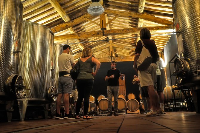 Siena: A Wine Tour and Tasting Experience - Stop 2 in the cellar: how grapes become wine (fermentation to bottling)