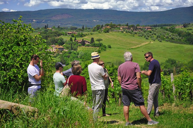 Siena: A Wine Tour and Tasting Experience - Stop 4 light Tuscan lunch with olive oil pairing