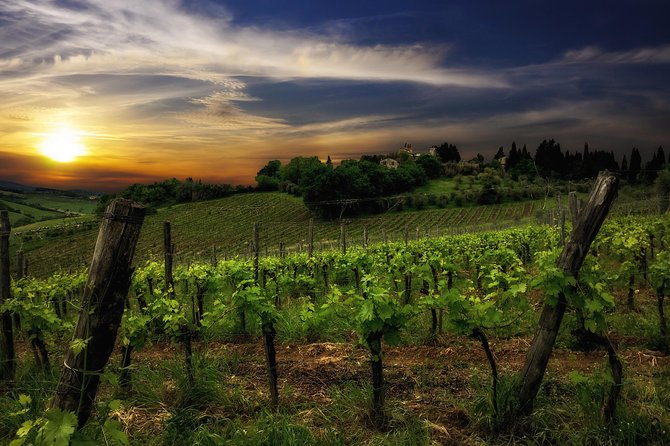 Siena: A Wine Tour and Tasting Experience - Price and value: what you’re really paying for