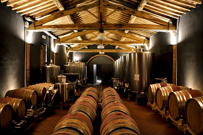 Siena: A Wine Tour and Tasting Experience - Stop 1 in the vineyards: organic grapes, pruning, soil, and harvest