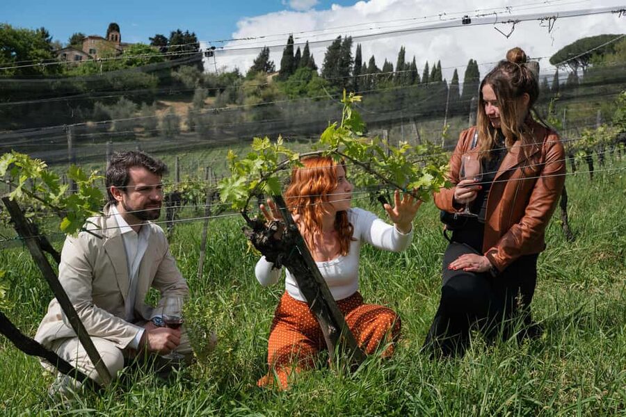 Siena: Educational Wine Tour & Tasting - Key things that make this tour worth your time
