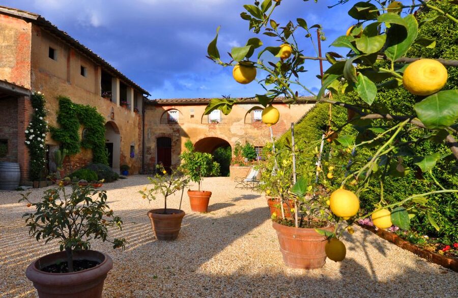 Siena: Educational Wine Tour & Tasting - Who this tour suits best (and who might not)