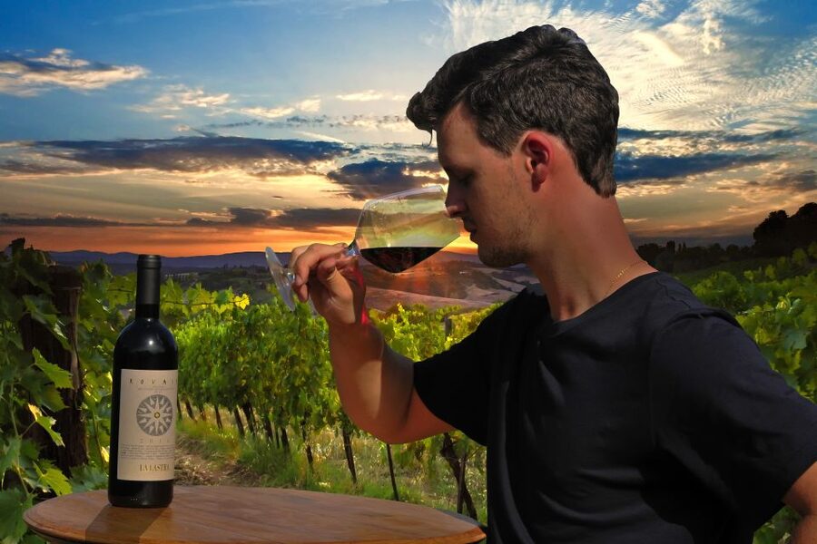 Siena: Educational Wine Tour & Tasting - Entering the organic world outside Siena: why the setting matters