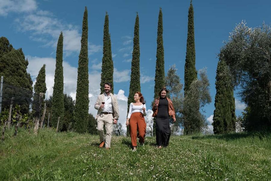 Siena: Educational Wine Tour & Tasting - Inside the historical cellar: the science behind organic quality