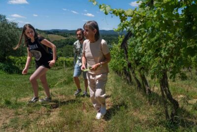 Siena: Organic Winery Tour and Wine Tasting - Vineyard time at Azienda Agricola La Lastra: organic farming you can actually picture